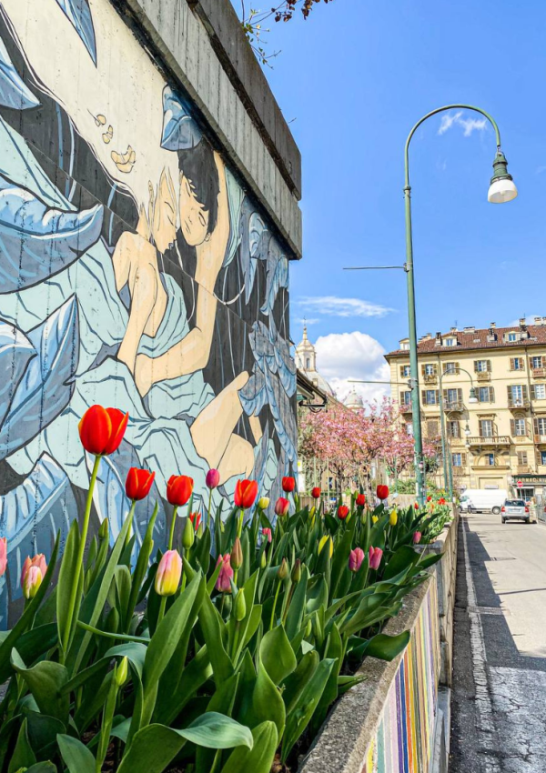 Llegó la primavera a Turín